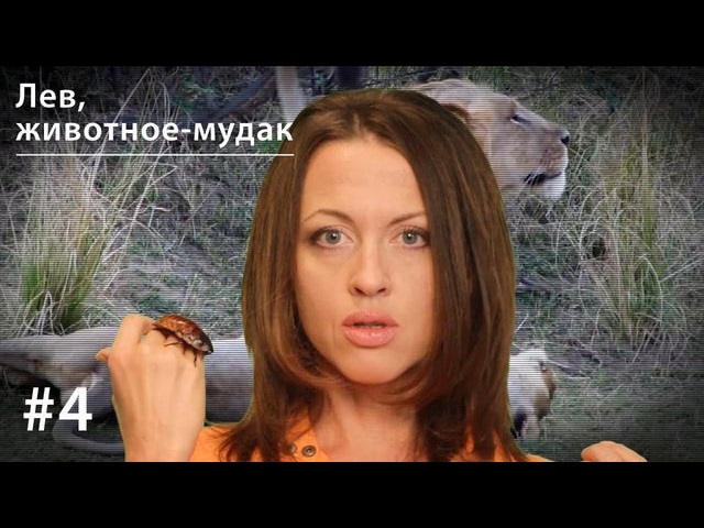 Обложка книги «Лев: животное-мудак»