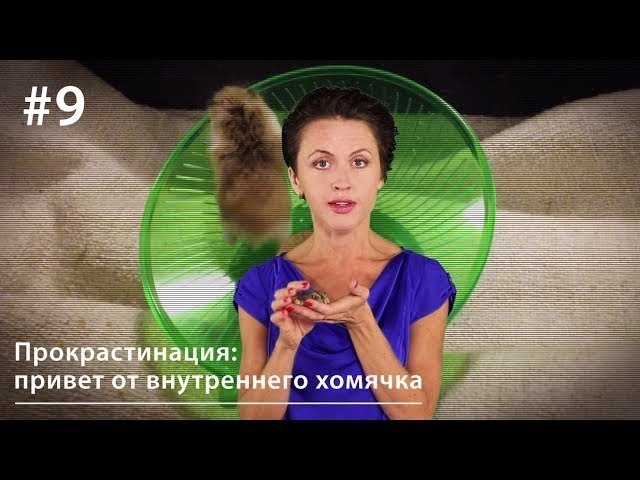 Обложка книги «Прокрастинация: привет от внутреннего хомячка»