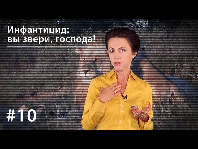 Обложка книги «Инфантицид и избиение младенцев: вы звери, господа!»