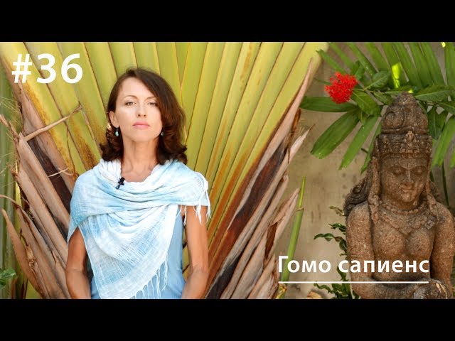 Обложка книги «Гомо сапиенс: причины и поводы гомосексуального поведения»