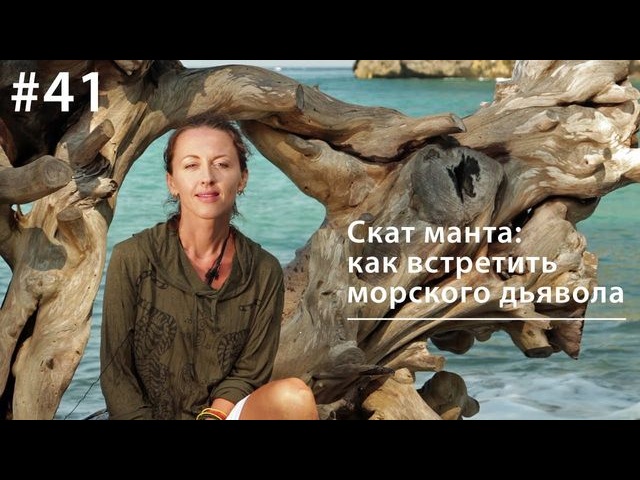 Обложка книги «Манта: как встретить морского дьявола»