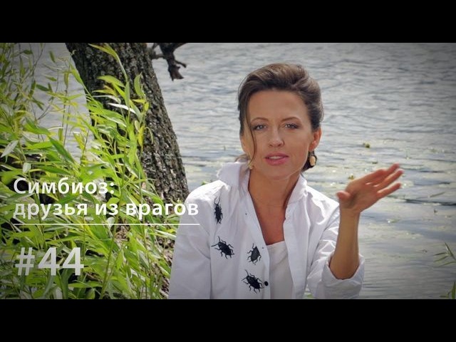 Обложка книги «Симбиоз: как делать друзей из врагов?»