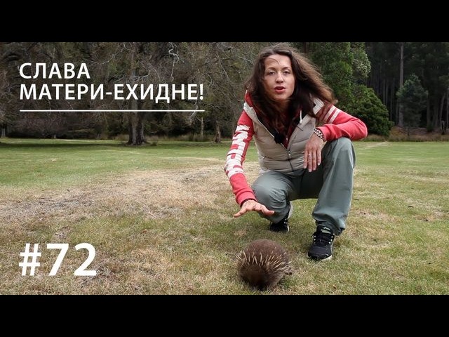 Обложка книги «Слава Матери-ехидне!»