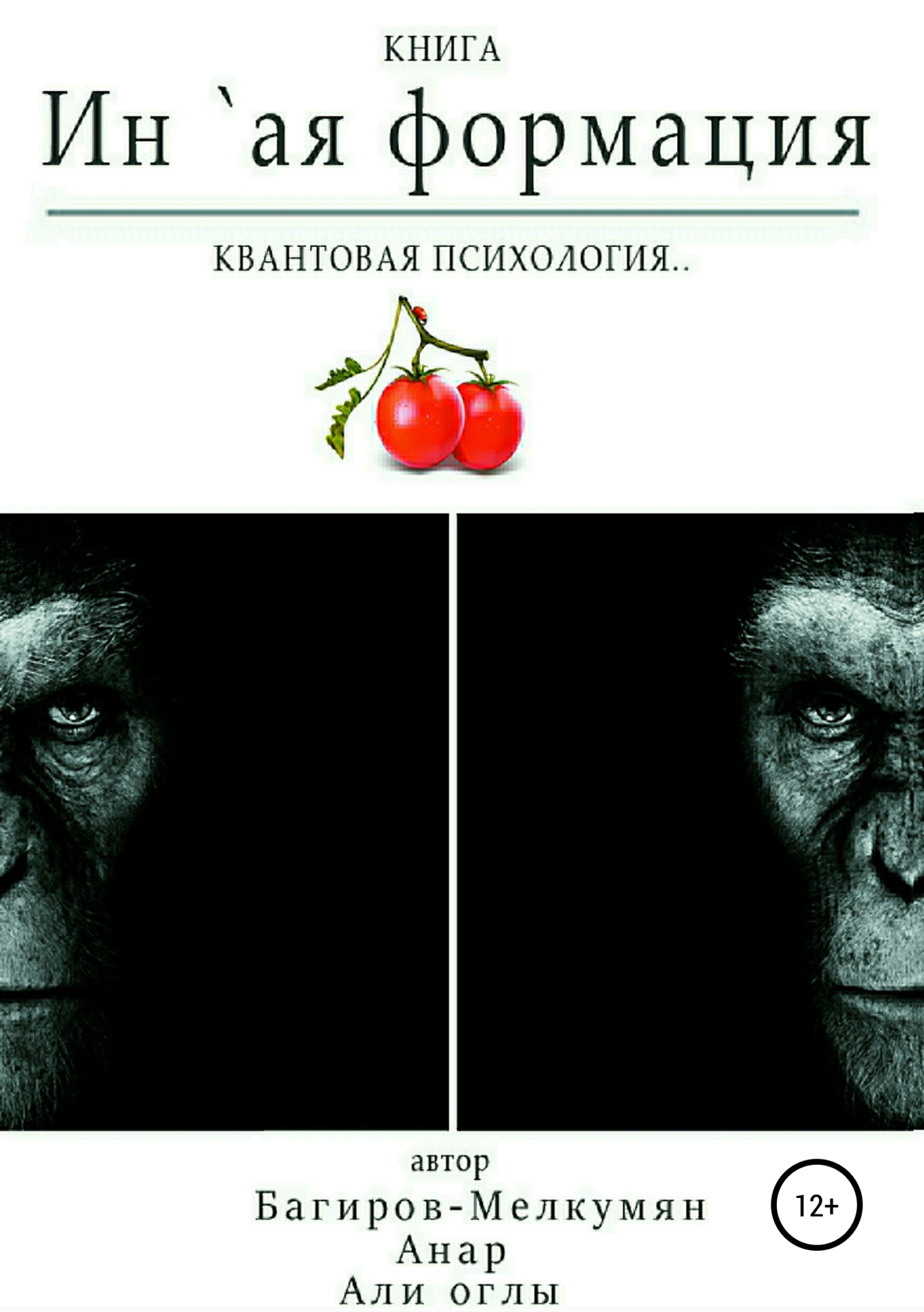 Обложка книги «`Ин-ая формация. Квантовая психология»