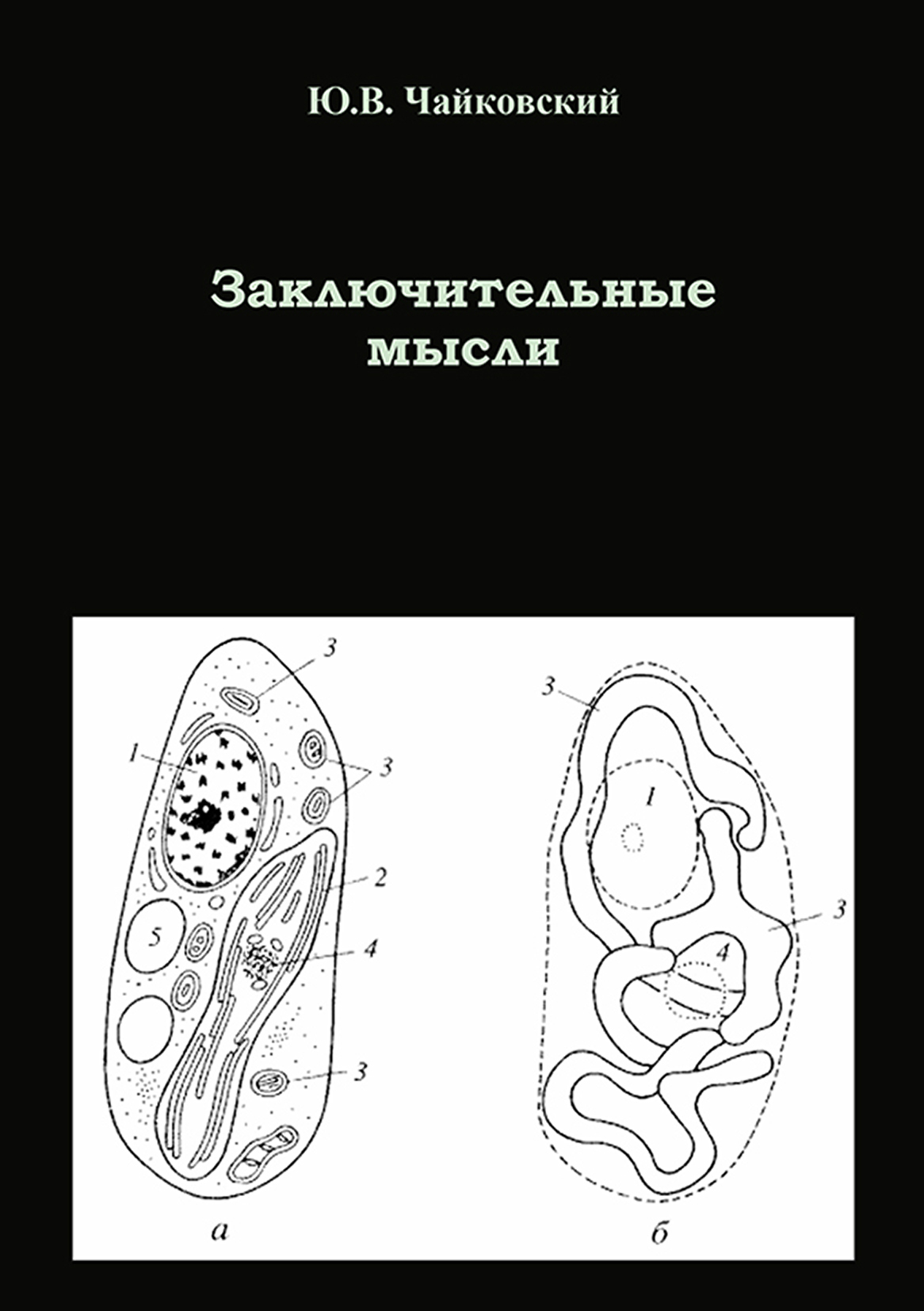 Обложка книги «Заключительные мысли»