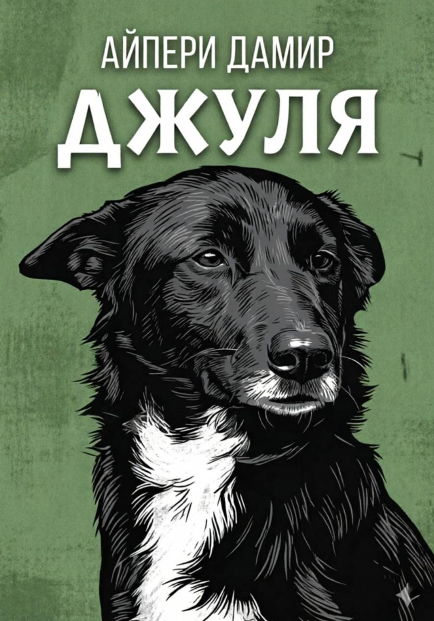 Обложка книги «Джуля»