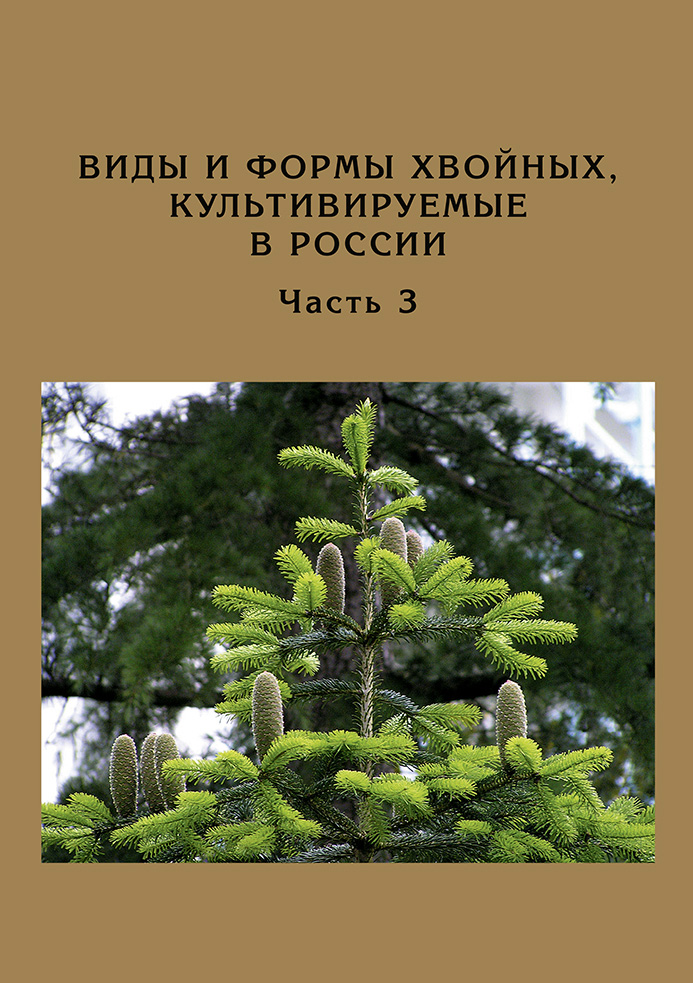 Обложка книги «Виды и формы хвойных, культивируемые в России. Часть 3. Abies Mill., Chamaecyparis Spach»