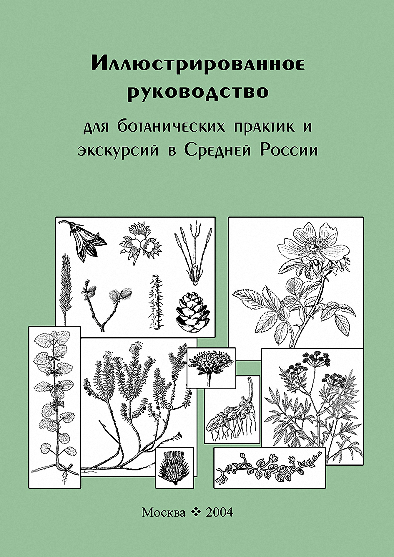Обложка книги «Иллюстрированное руководство для ботанических практик и экскурсий в Средней России»