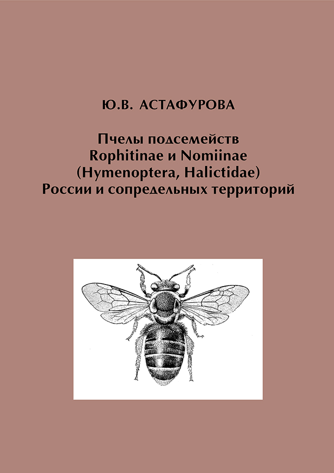 Обложка книги «Пчелы подсемейств Rophitinae и Nomiinae (Hymenoptera, Halictidae) России и сопредельных территорий»