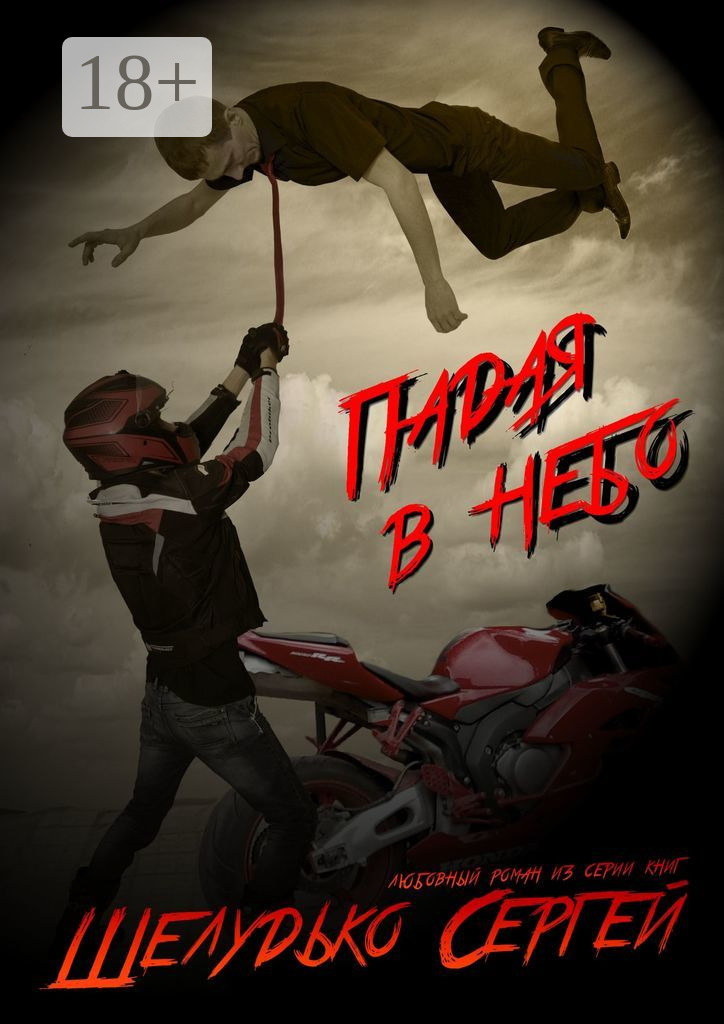 Обложка книги «Падая в небо»