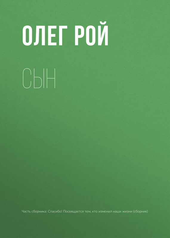 Обложка книги «Сын»
