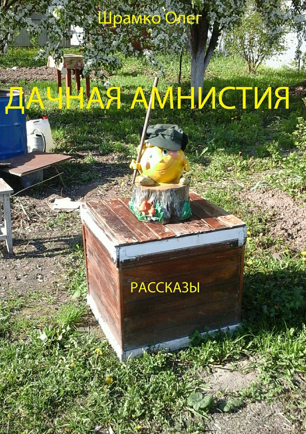 Обложка книги «Дачная амнистия. Рассказы»