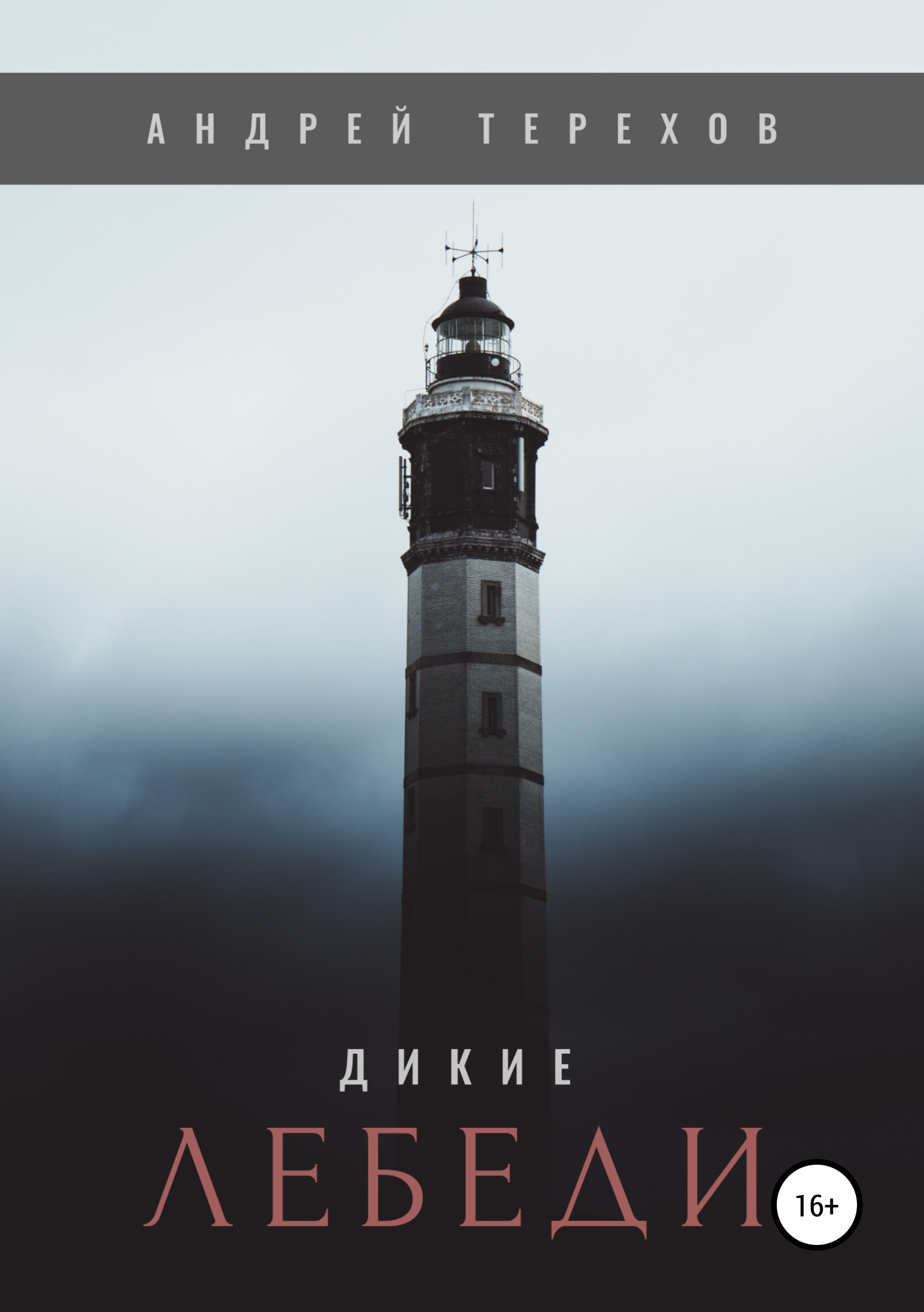 Обложка книги «Дикие лебеди»