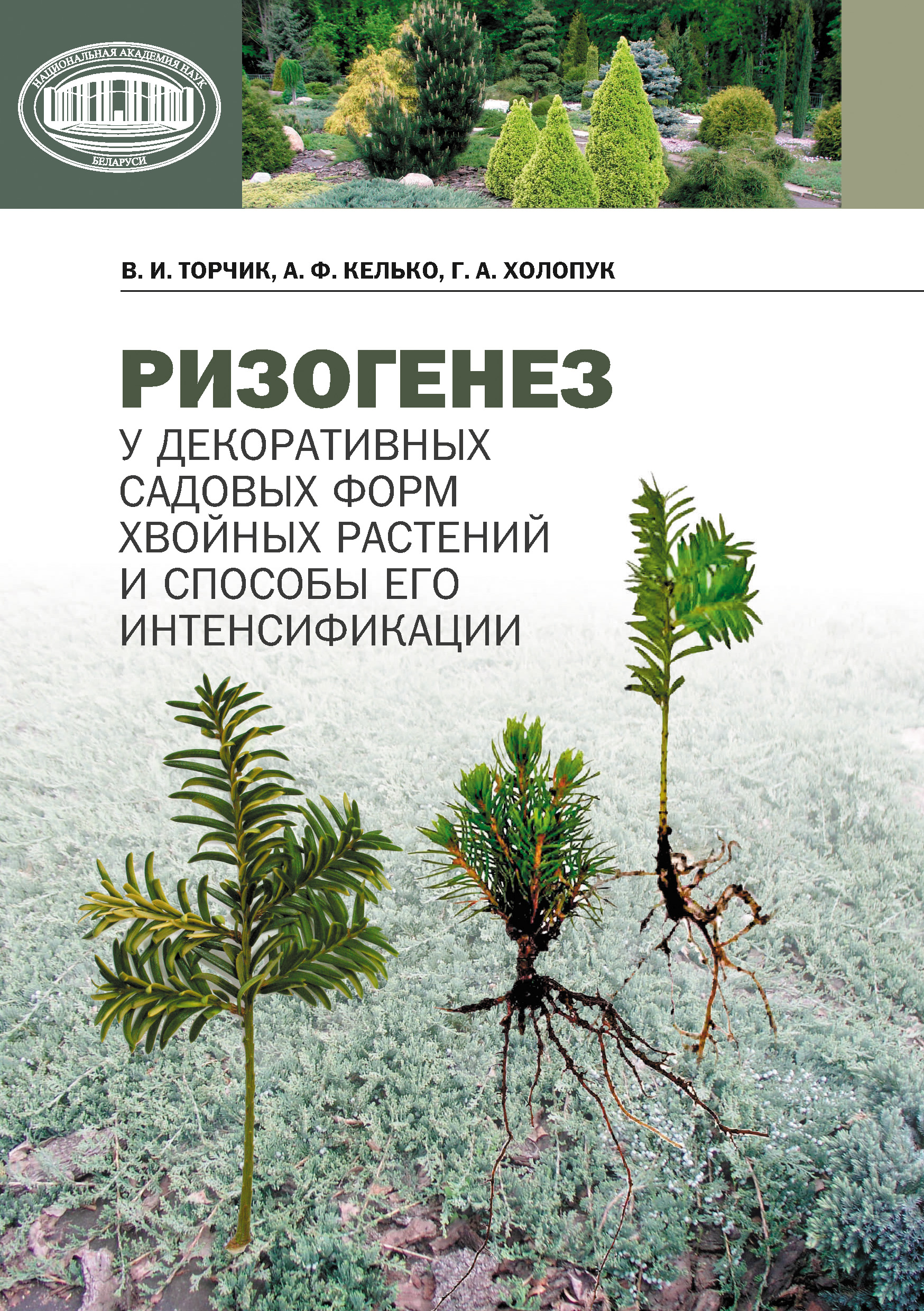 Обложка книги «Ризогенез у декоративных садовых форм хвойных растений и способы его интенсификации»