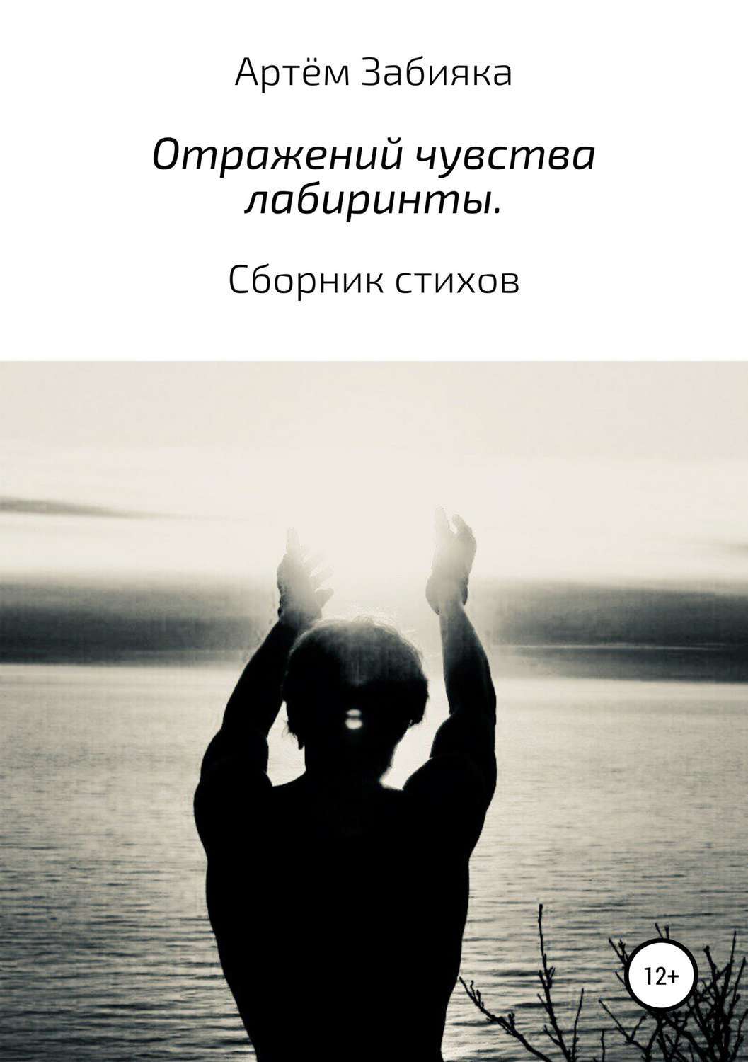 Обложка книги «Отражений чувства лабиринты. Сборник стихов»