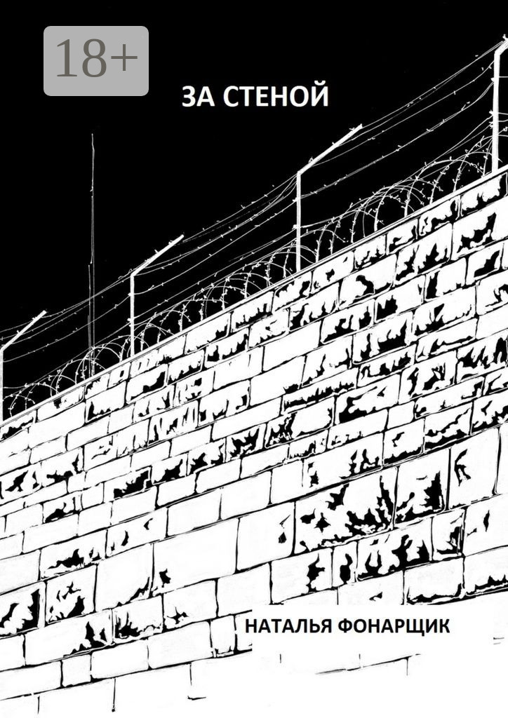 Обложка книги «За стеной»