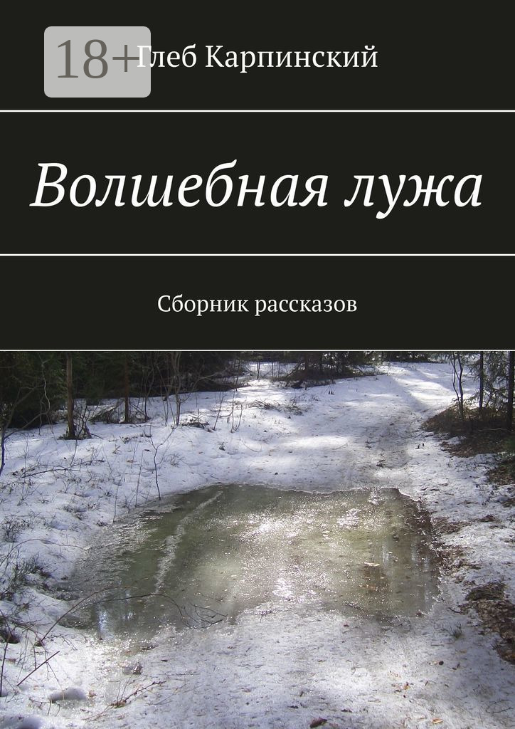 Обложка книги «Волшебная лужа. Сборник рассказов»