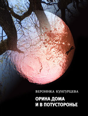 Обложка книги «Орина дома и в Потусторонье»