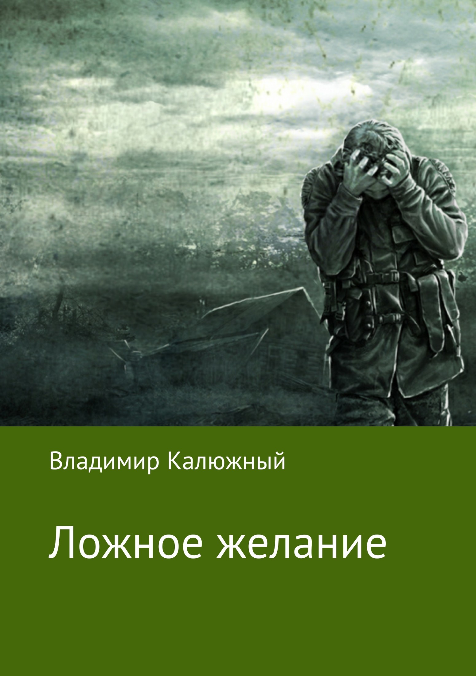 Обложка книги «Ложное желание»