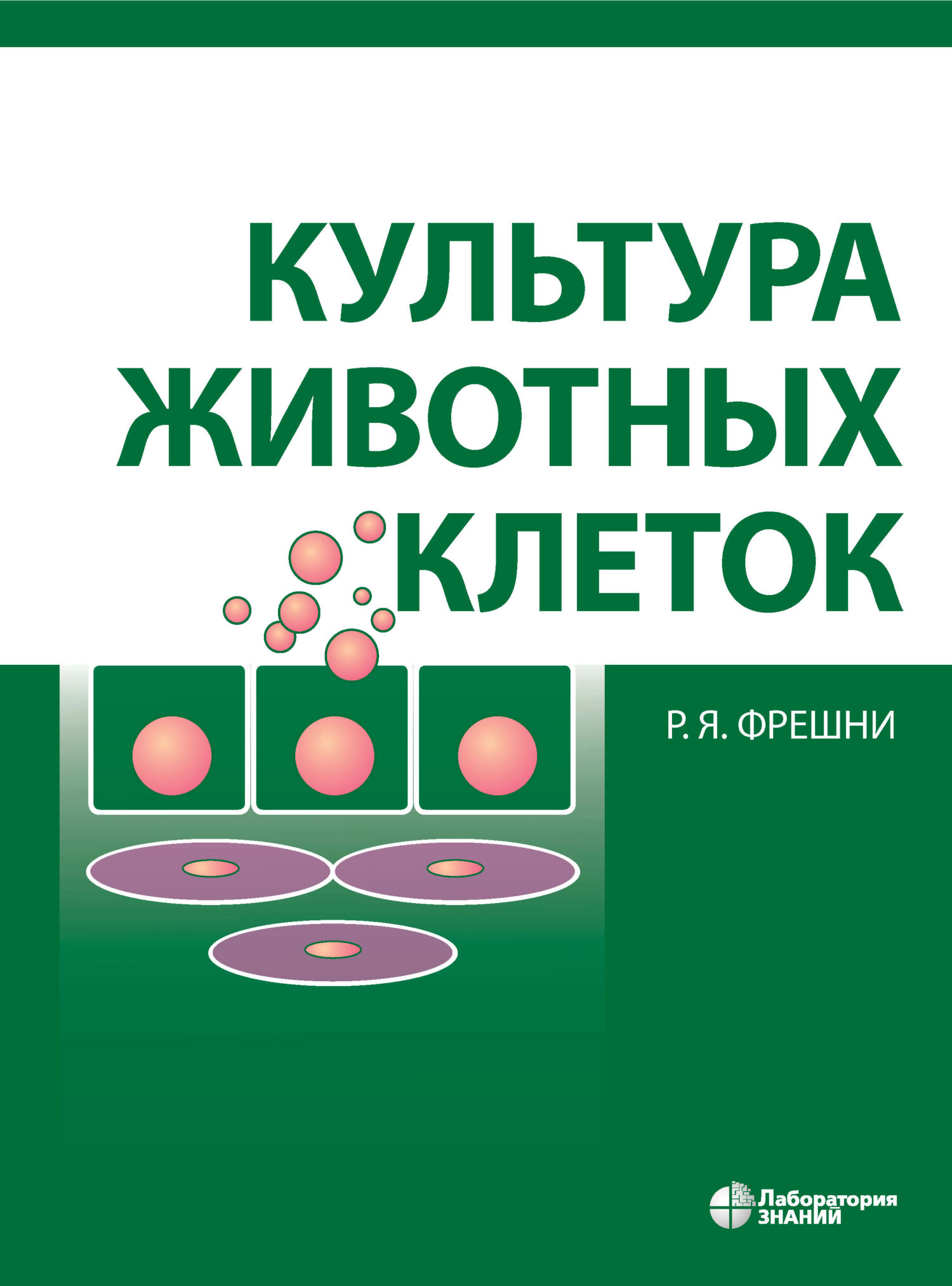 Обложка книги «Культура животных клеток. Практическое руководство»