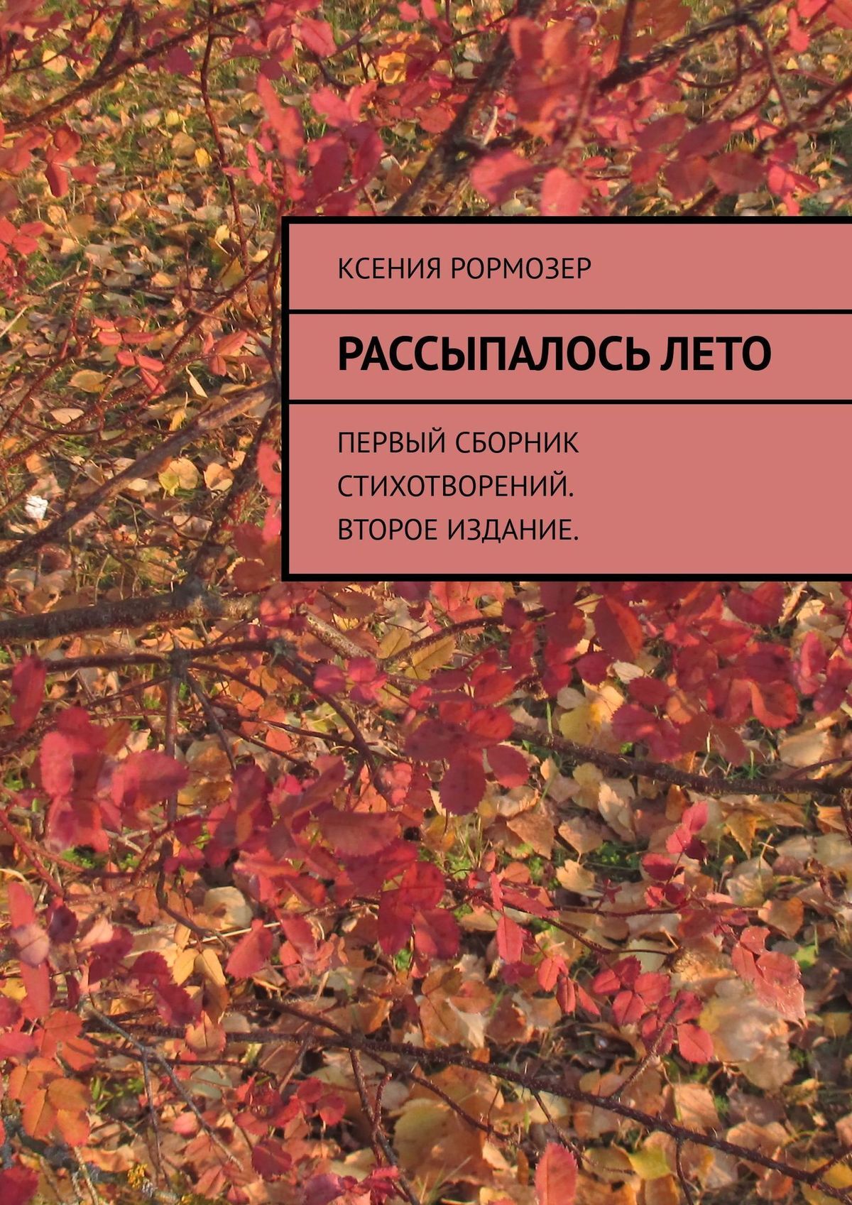 Обложка книги «Рассыпалось лето. Первый сборник стихотворений. Второе издание»