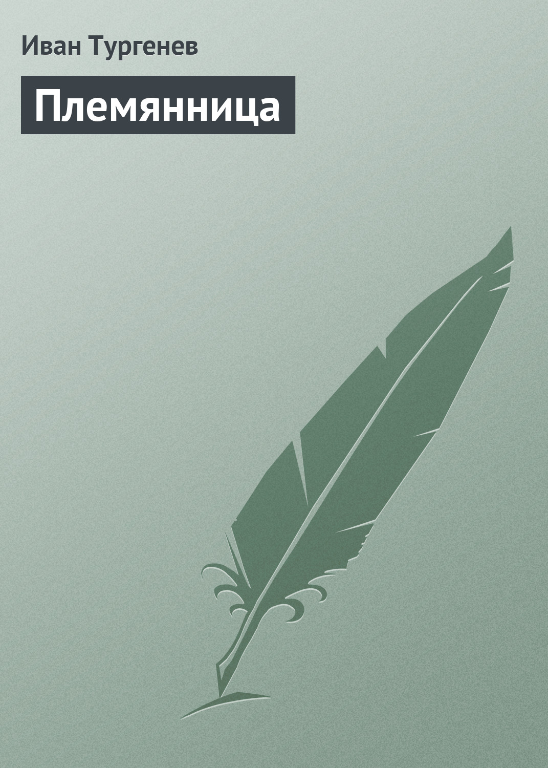 Обложка книги «Племянница»