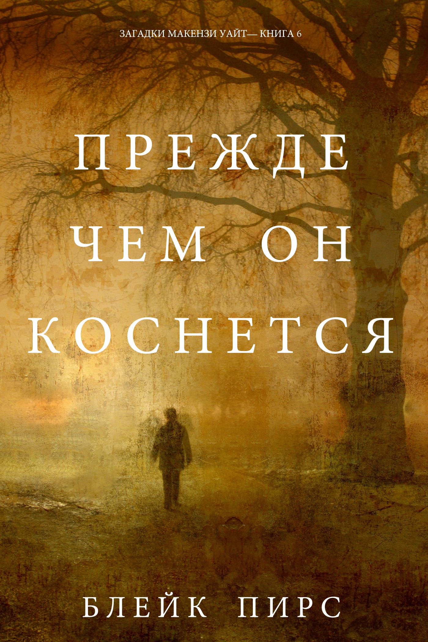 Обложка книги «Прежде чем он коснётся»