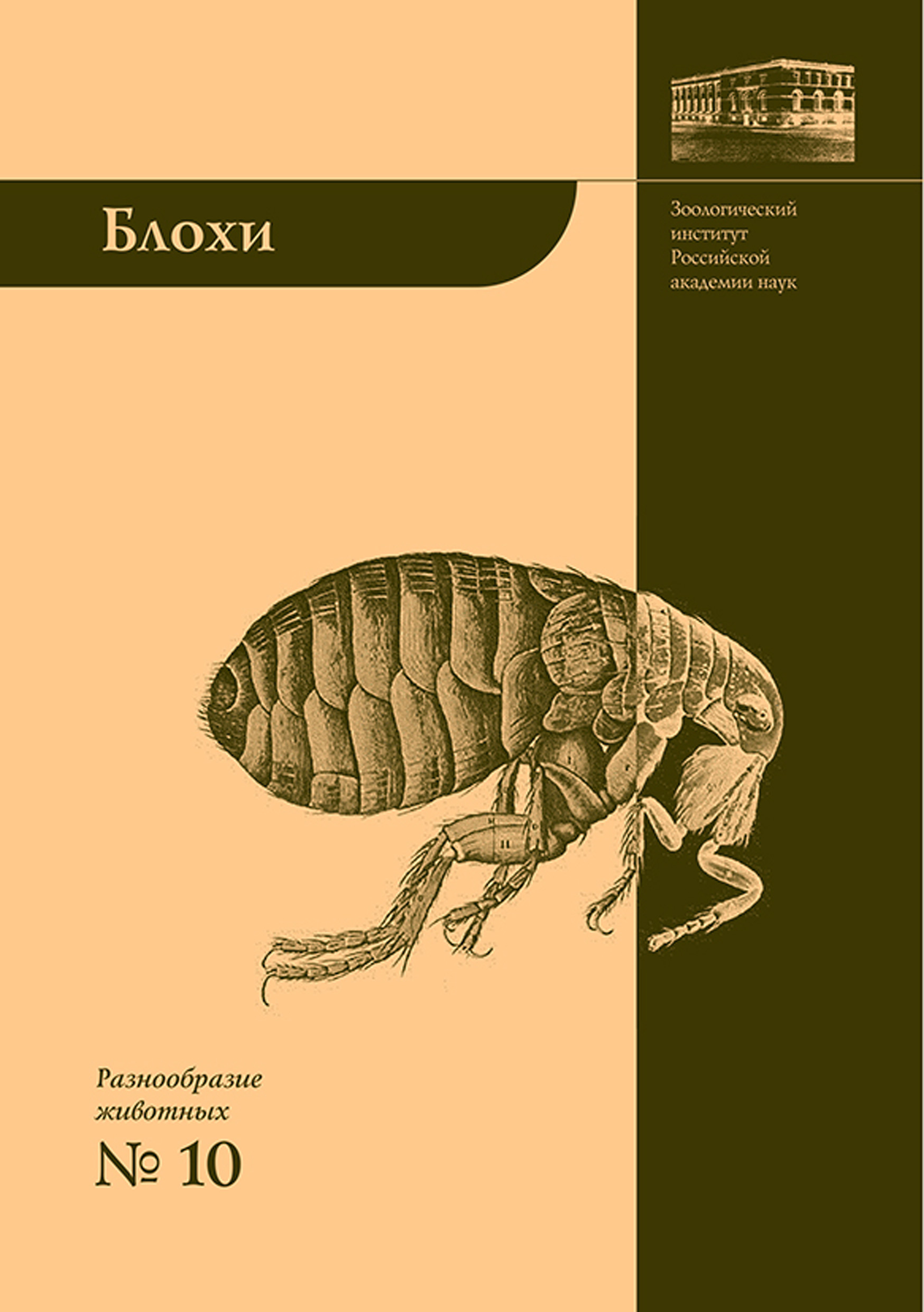 Обложка книги «Блохи – домашние или домовые животные?»