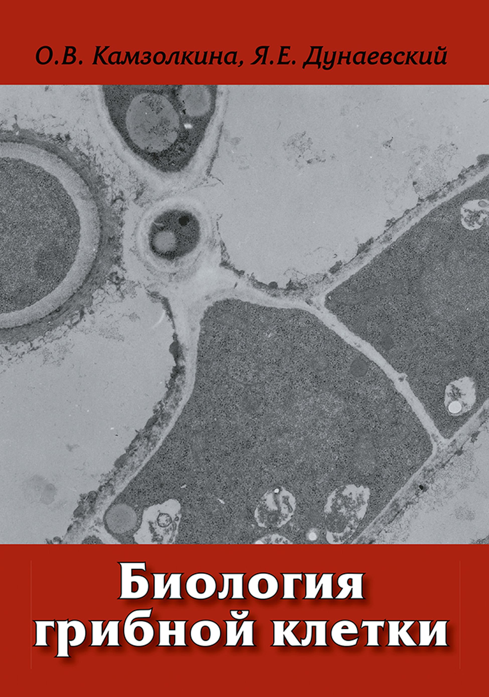 Обложка книги «Биология грибной клетки»