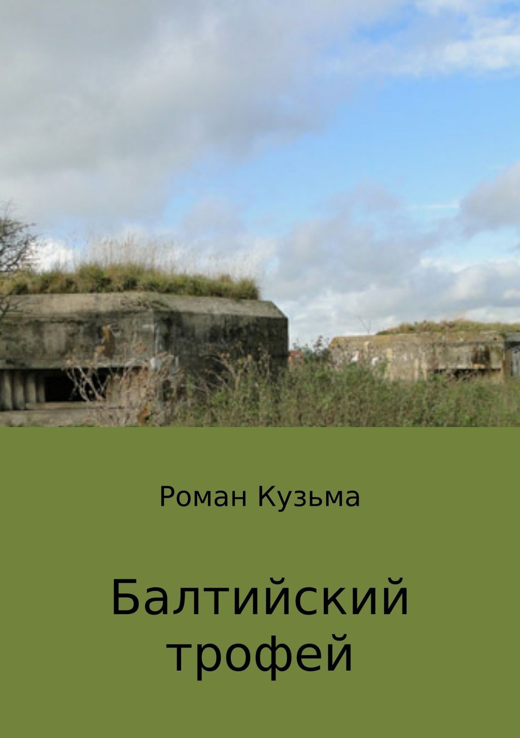 Обложка книги «Балтийский трофей»