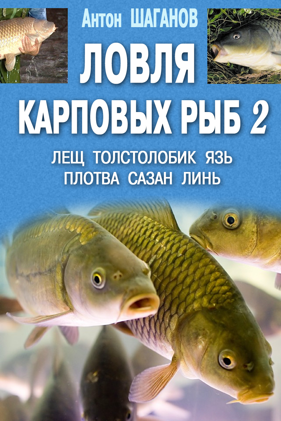 Обложка книги «Ловля карповых рыб – 2»