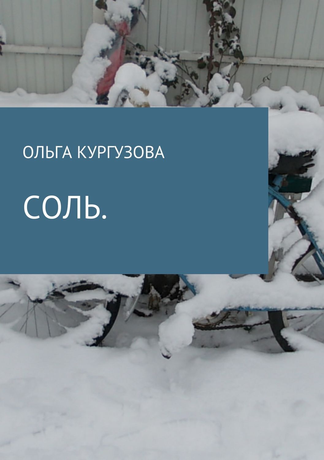 Обложка книги «Соль»