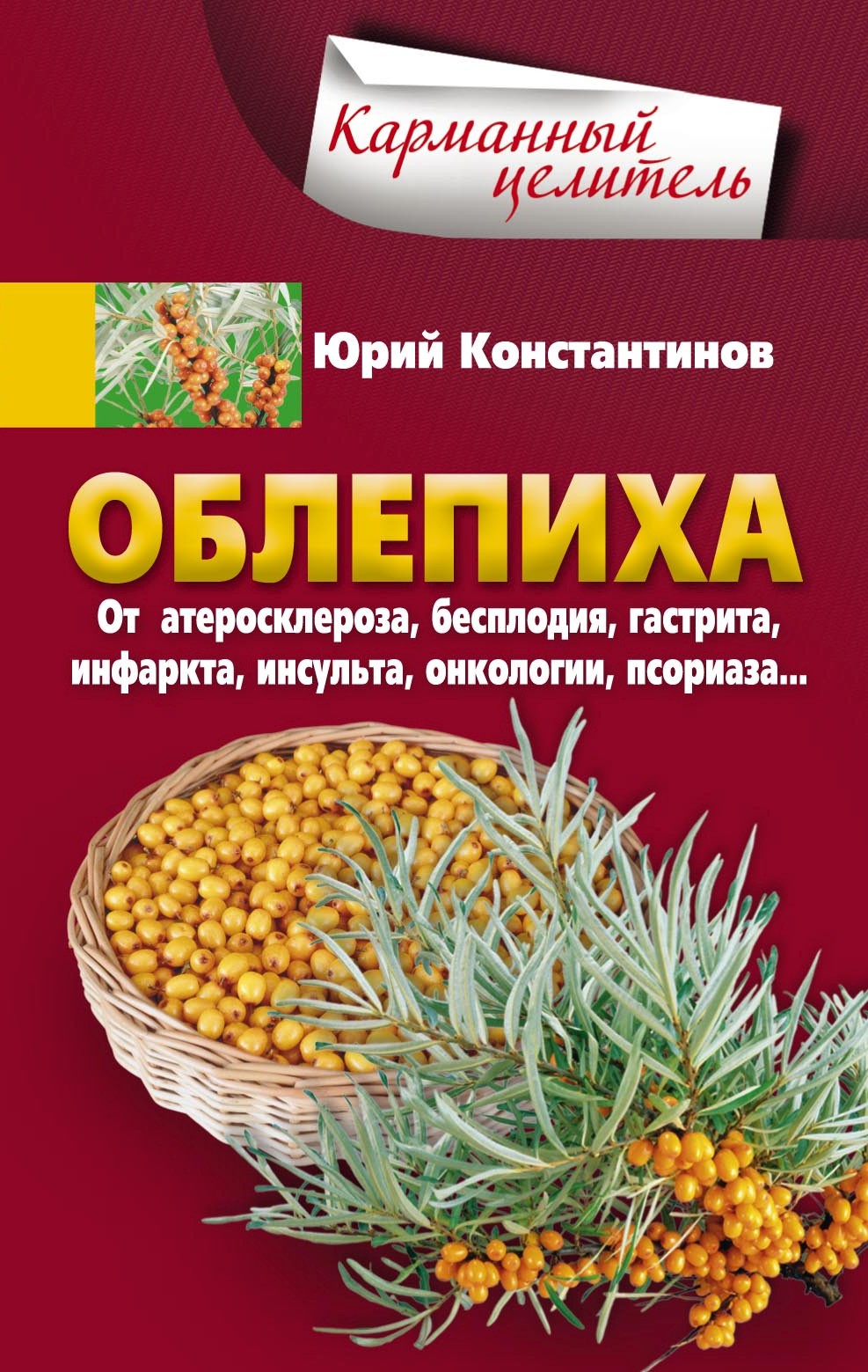 Обложка книги «Облепиха от атеросклероза, бесплодия, гастрита, инфаркта, инсульта, онкологии, псориаза…»
