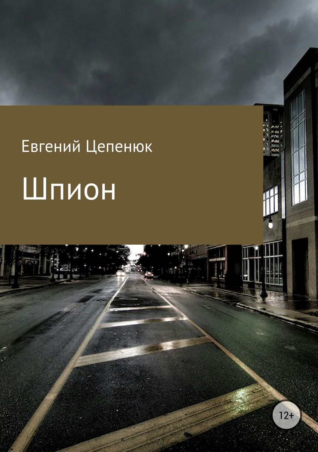 Обложка книги «Шпион»