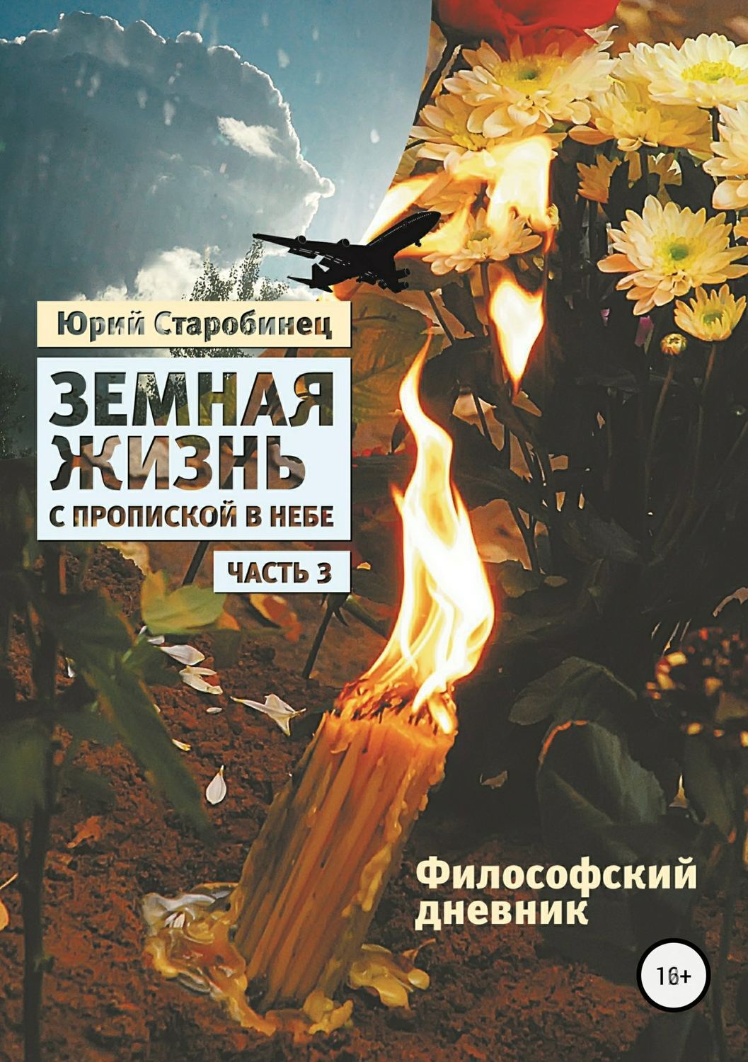 Обложка книги «Земная жизнь с пропиской в небе. Философский дневник. Книга третья»