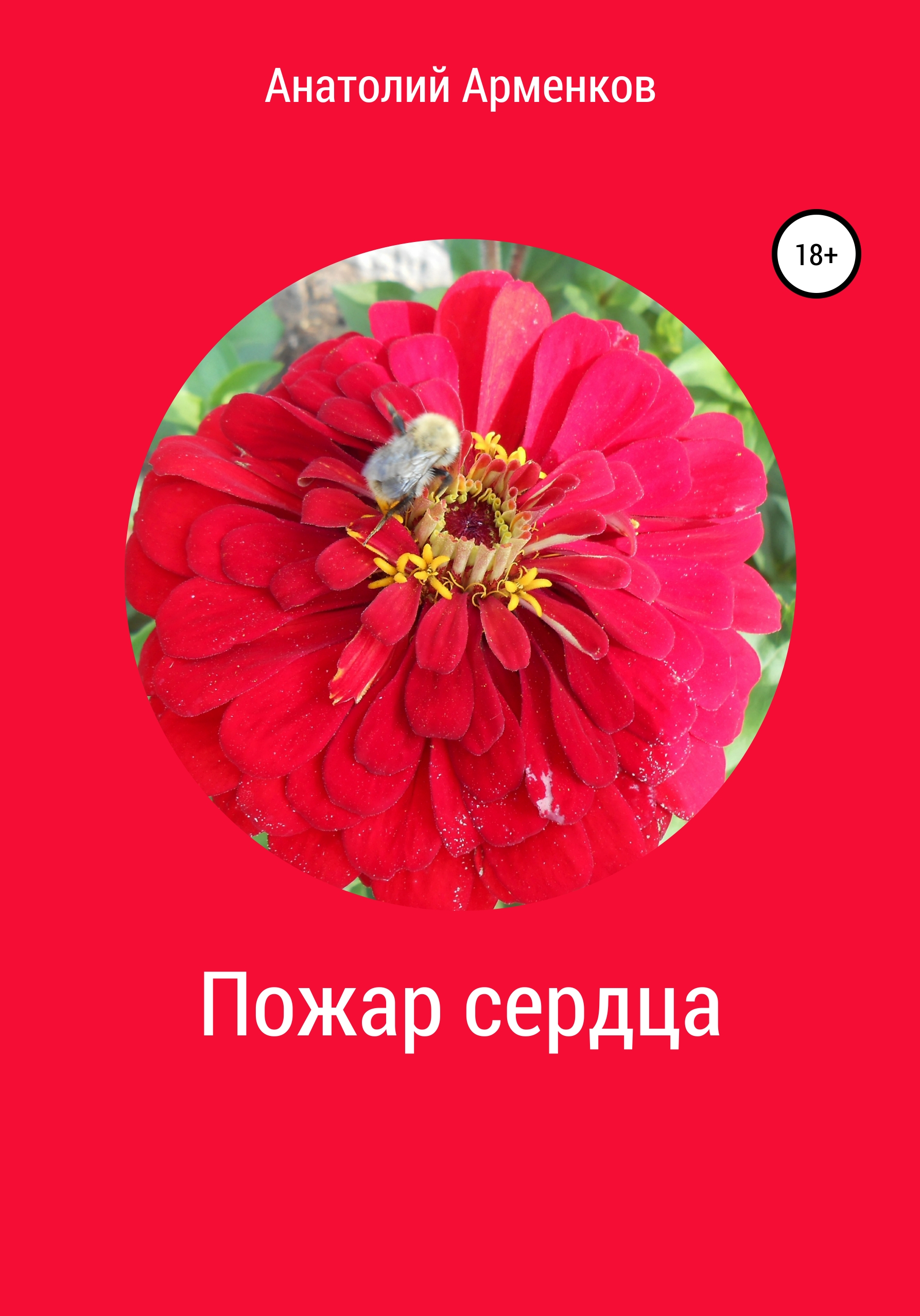 Обложка книги «Пожар сердца»