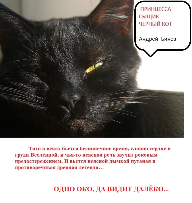 Обложка книги «Принцесса, сыщик и черный кот»
