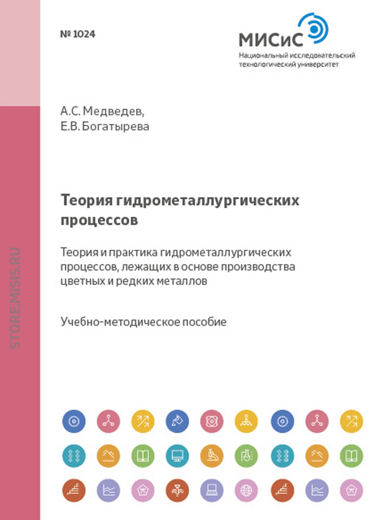 Обложка книги «Теория гидрометаллургических процессов. Теория и практика гидрометаллургических процессов, лежащих в основе производства цветных и редких металлов»