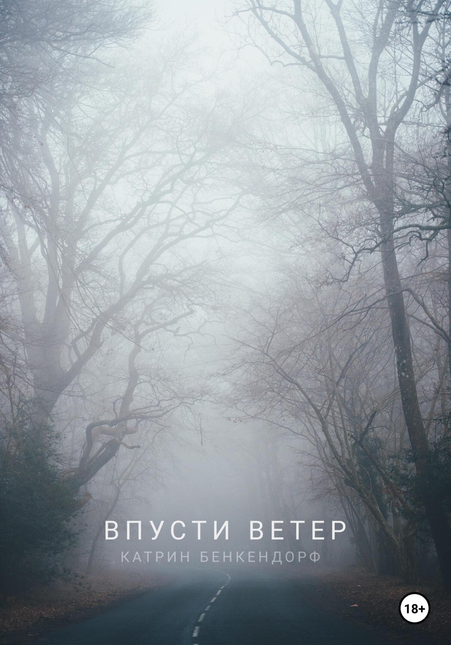 Обложка книги «Впусти ветер»