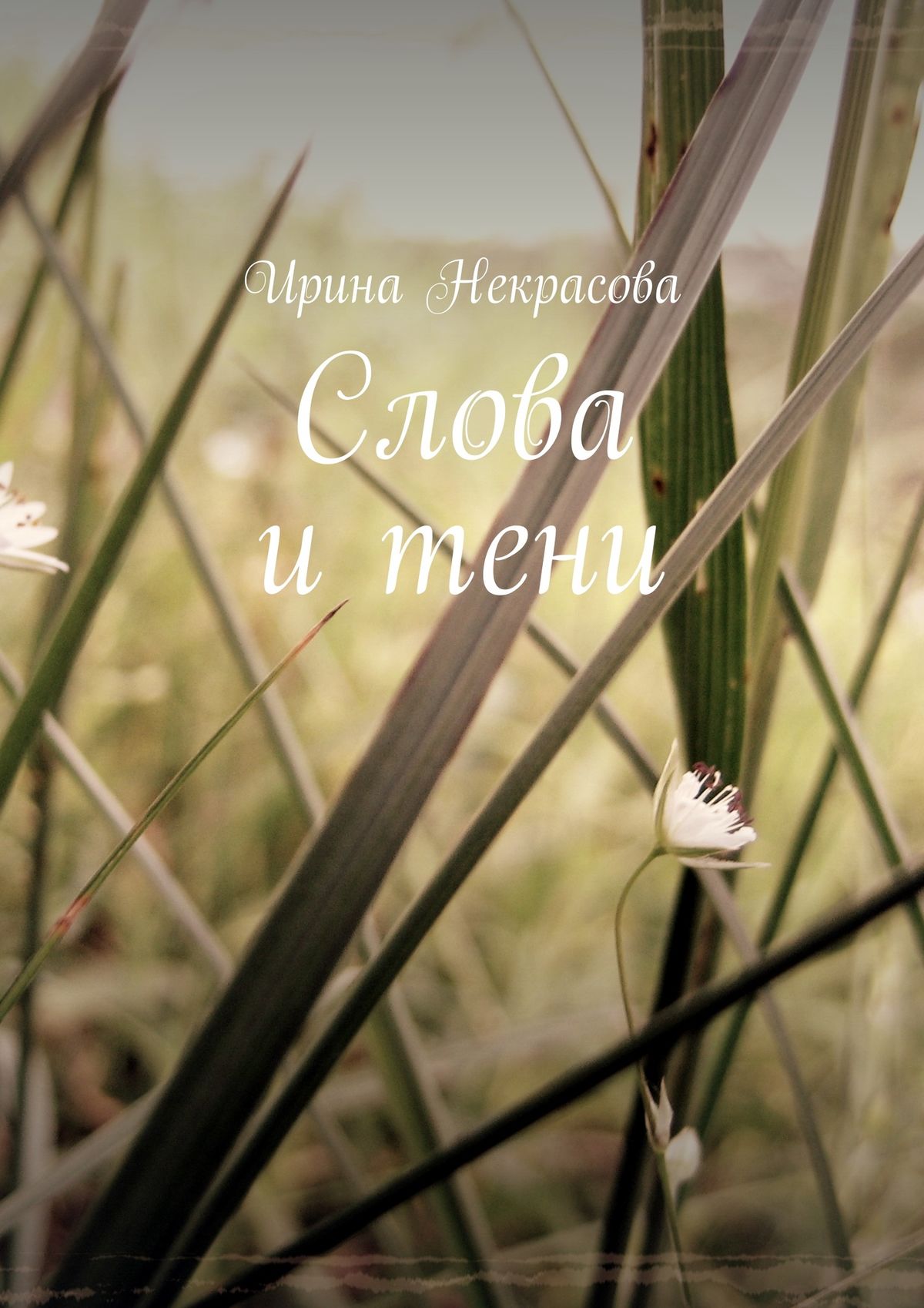 Обложка книги «Слова и тени. Стихотворения»