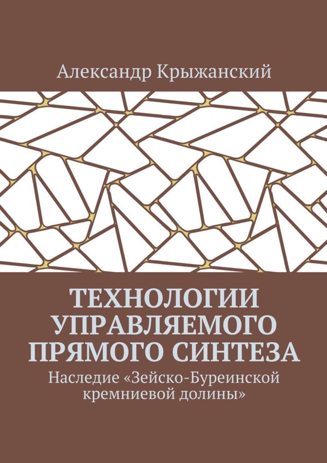 Обложка книги «Технологии управляемого прямого синтеза. Наследие «Зейско-Буреинской кремниевой долины»»