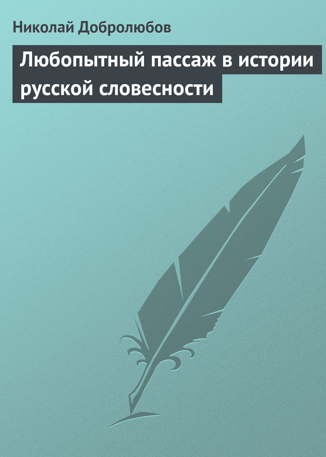 Обложка книги «Любопытный пассаж в истории русской словесности»