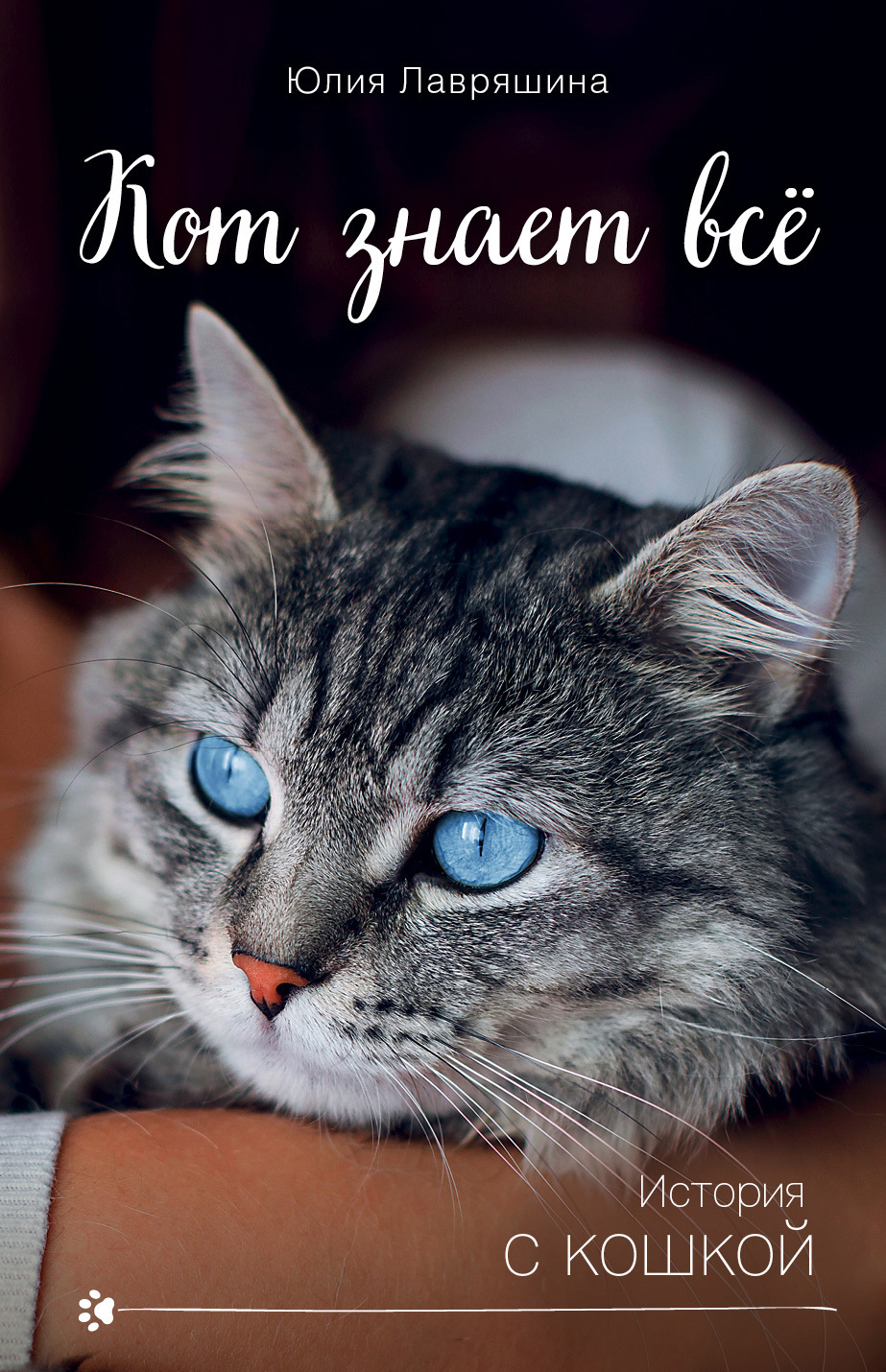 Обложка книги «Кот знает всё»