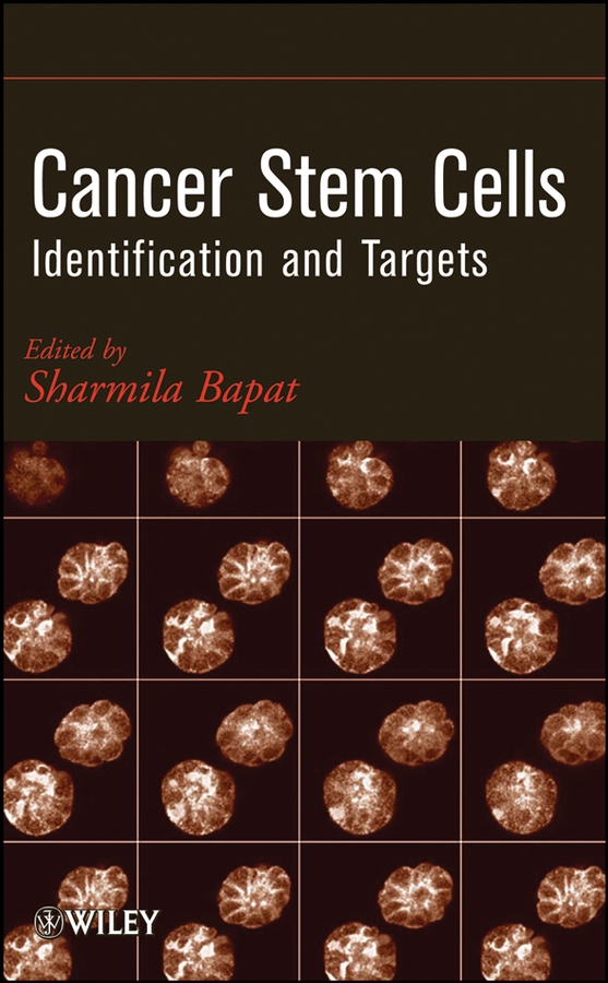 Обложка книги «Cancer Stem Cells. Identification and Targets»