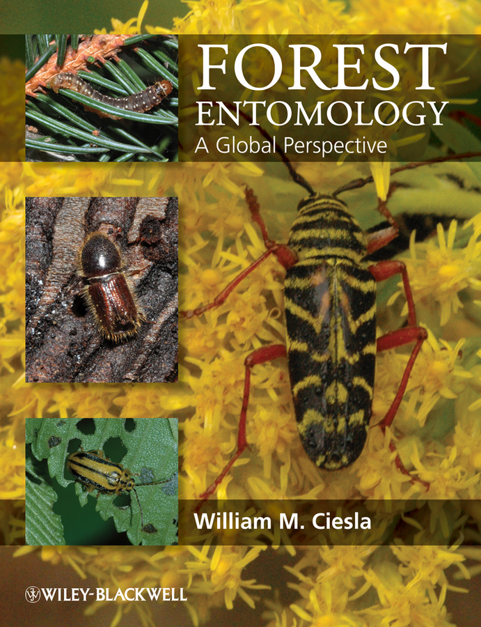 Обложка книги «Forest Entomology. A Global Perspective»