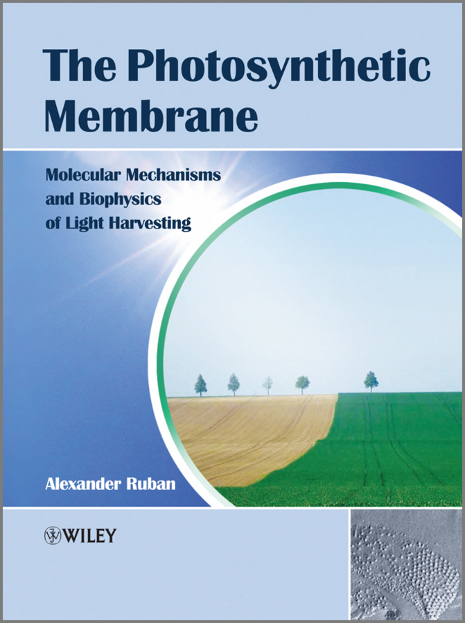 Обложка книги «The Photosynthetic Membrane. Molecular Mechanisms and Biophysics of Light Harvesting»