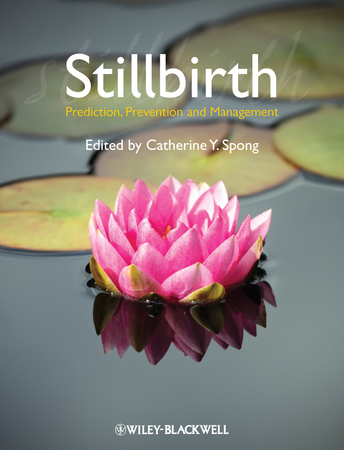Обложка книги «Stillbirth. Prediction, Prevention and Management»