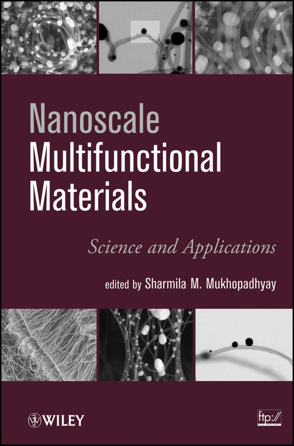 Обложка книги «Nanoscale Multifunctional Materials. Science & Applications»