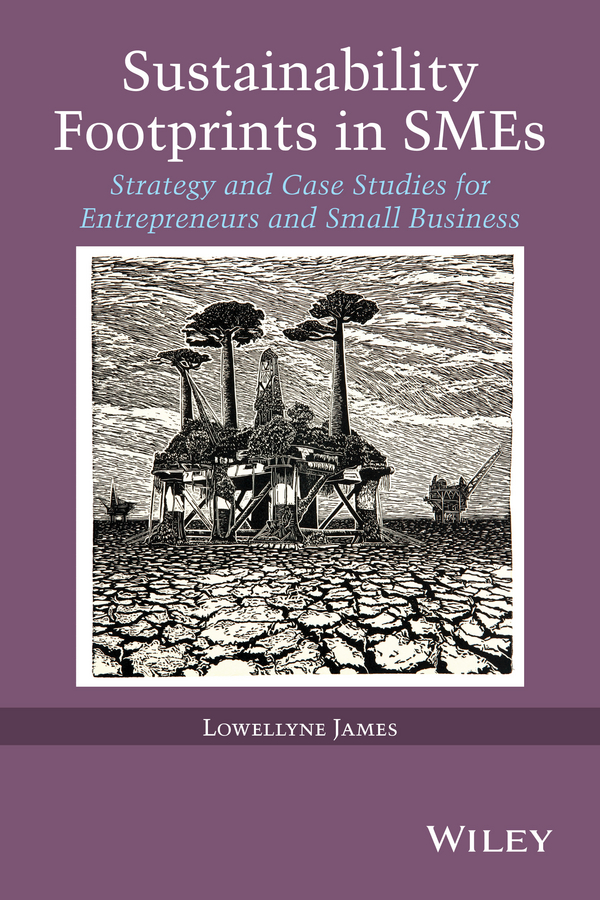 Обложка книги «Sustainability Footprints in SMEs. Strategy and Case Studies for Entrepreneurs and Small Business»
