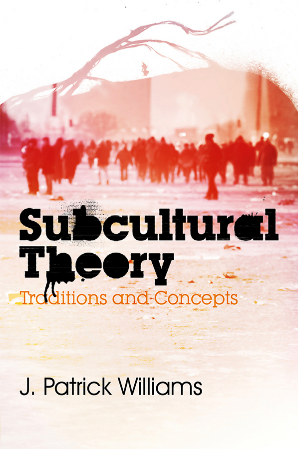 Обложка книги «Subcultural Theory. Traditions and Concepts»